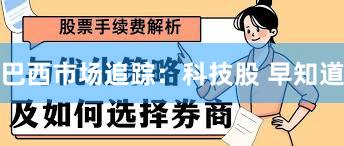 巴西市场追踪：科技股 早知道